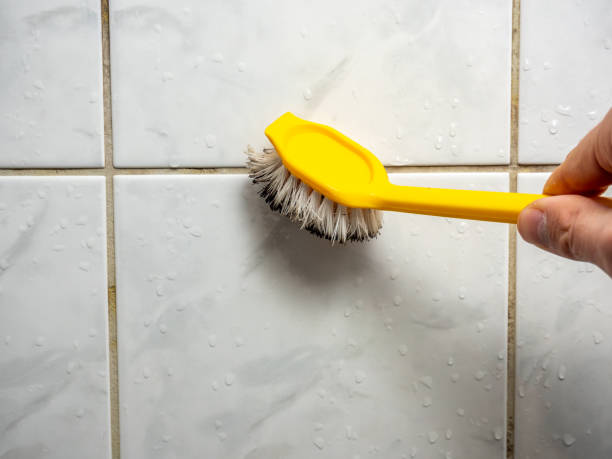 Best DIY Mold Remediation Support Services in Brewster, OH