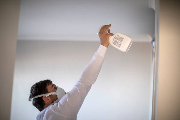 Best Localized Mold Remediation (e.g., coastal areas, humid climates) in Brewster, OH