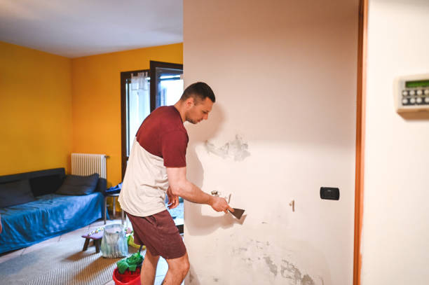 Best Commercial Mold Remediation in Brewster, OH